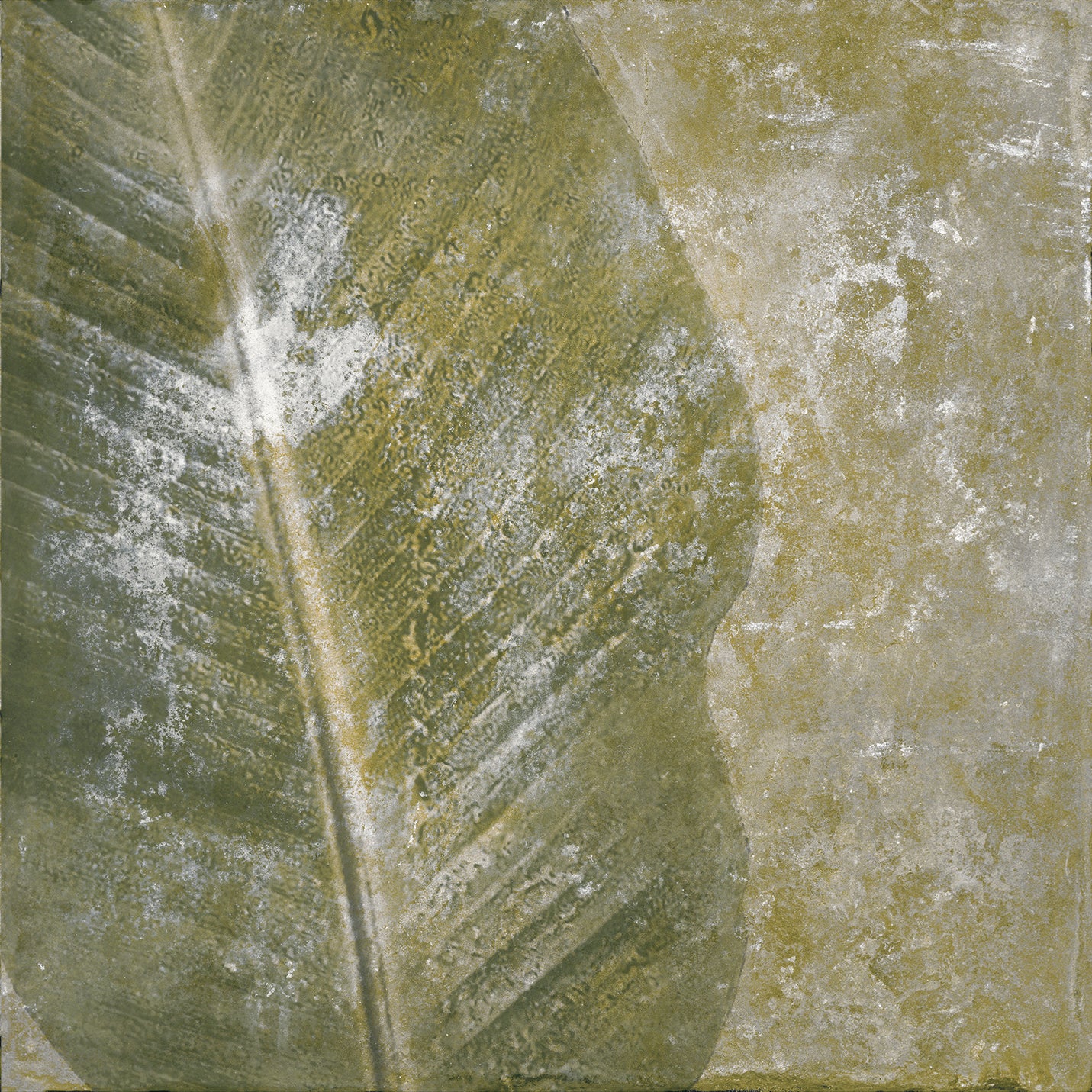 Natura