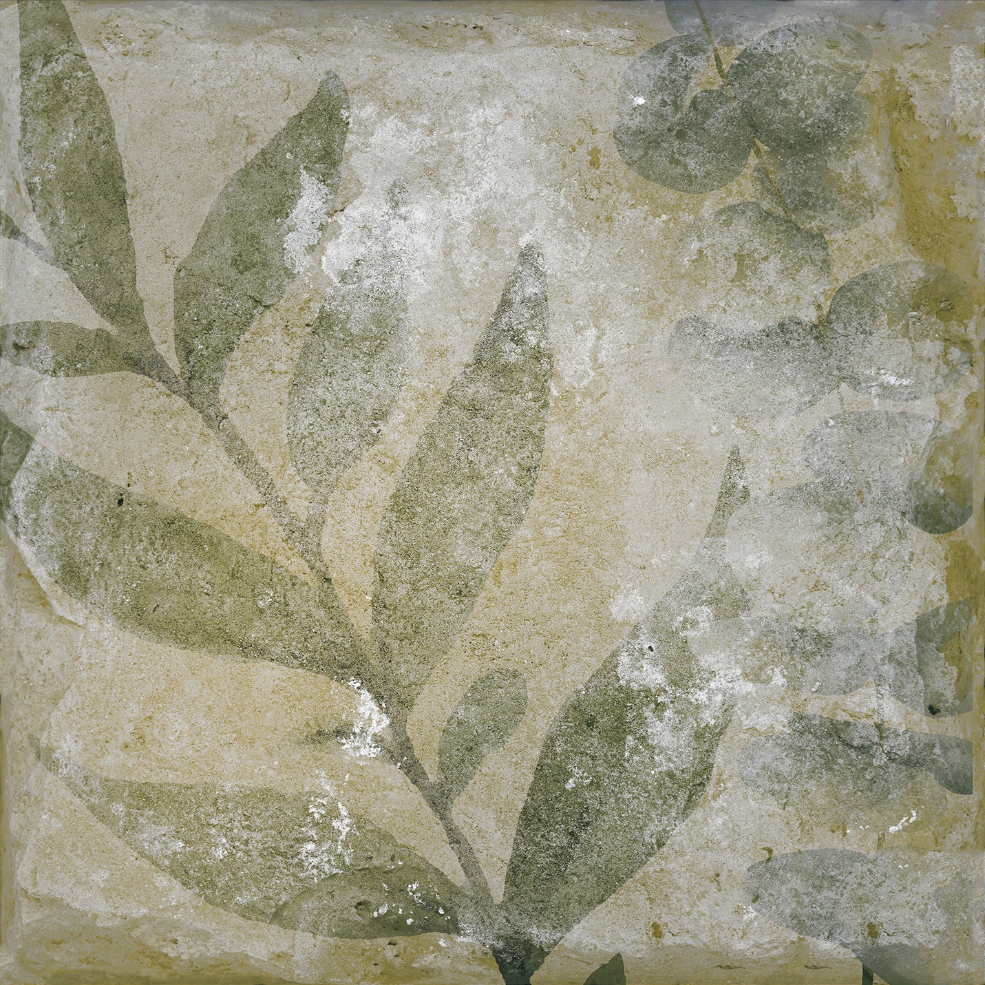 Natura