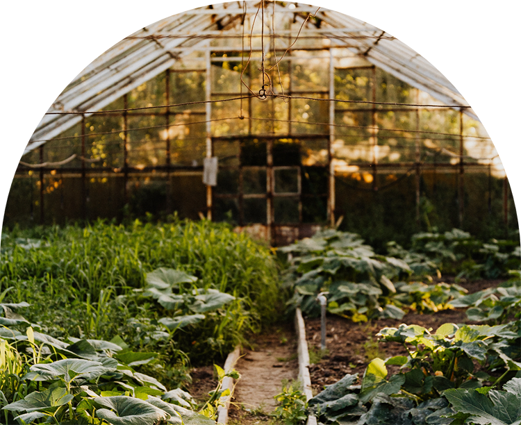 Varel_Exterieur_verger-et-potager