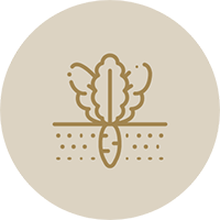 Varel_metiers_verger-et-potager